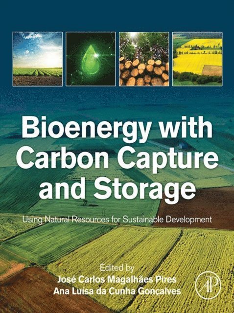 Ana Luisa da Cunha Goncalves, Jose Carlos Magalhaes Pires - Bioenergy with Carbon Capture and Storage, E-bok