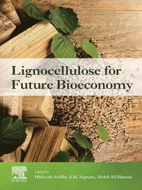 Mohd Ali Hassan, S. M. Sapuan, Hidayah Ariffin - Lignocellulose for Future Bioeconomy, E-bok