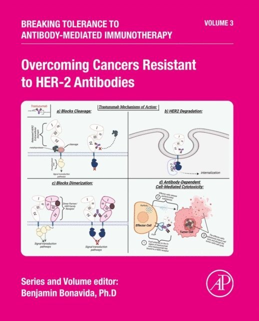 Benjamin Bonavida - Overcoming Cancers Resistant to HER-2 Antibodies, E-bok