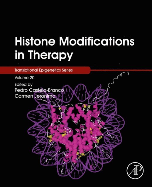 Carmen Jeronimo, Pedro Castelo-Branco - Histone Modifications in Therapy, E-bok