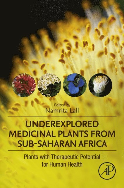 Namrita Lall - Underexplored Medicinal Plants from Sub-Saharan Africa, E-bok