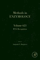 Amanda E. Hargrove - RNA Recognition, Inbunden