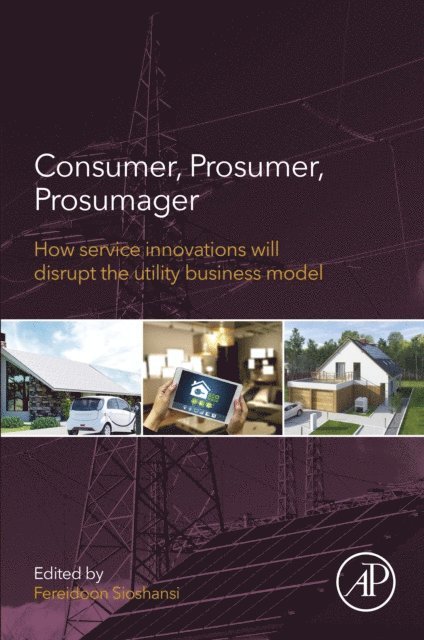 Fereidoon Sioshansi - Consumer, Prosumer, Prosumager, E-bok
