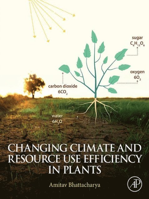 Amitav Bhattacharya - Changing Climate and Resource use Efficiency in Plants, E-bok