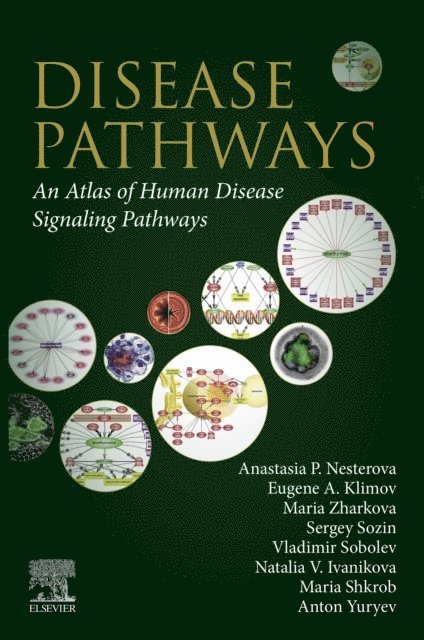 Vladimir Sobolev, Sergey Sozin, Natalia V. Ivanikova, Maria Shkrob, Maria Zharkova, Eugene A. Klimov, Anton Yuryev, Anastasia P. Nesterova - Disease Pathways, E-bok