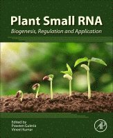 Plant Small RNA