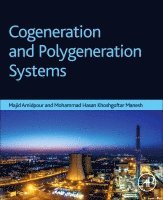 Majid Amidpour, Mohammad Hasan Khoshgoftar Manesh - Cogeneration and Polygeneration Systems, Häftad