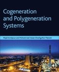 Cogeneration and Polygeneration Systems