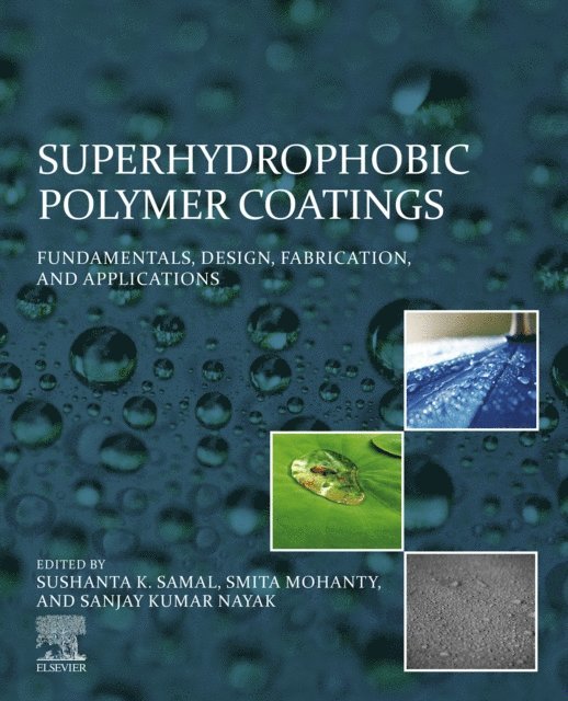 Sanjay Kumar Nayak, Smita Mohanty, Sushanta Samal - Superhydrophobic Polymer Coatings, E-bok