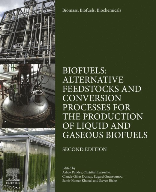 Steven Ricke, Claude-Gilles Dussap, Samir Kumar Khanal, Edgard Gnansounou, Christian Larroche, Ashok Pandey - Biomass, Biofuels, Biochemicals, E-bok