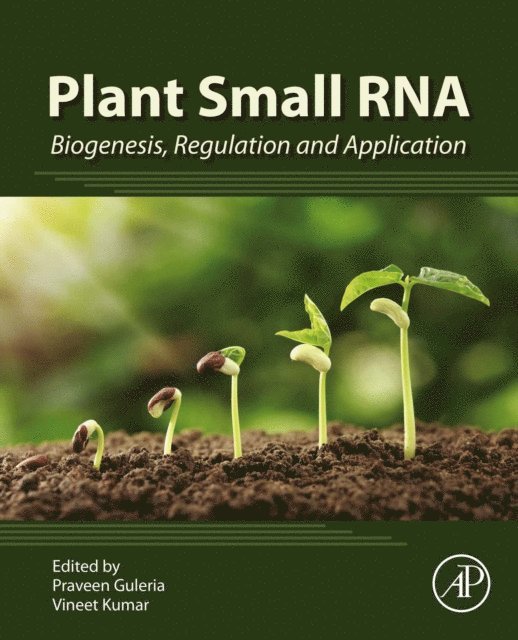 Vineet Kumar, Praveen Guleria - Plant Small RNA, E-bok