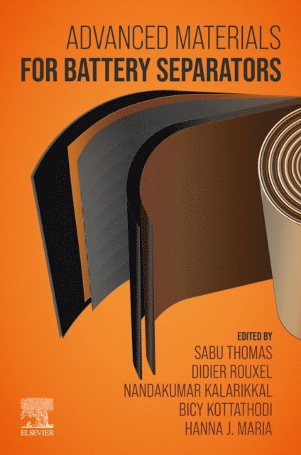 Hanna J. Maria, Bicy Kottathodi, Nandakumar Kalarikkal, Didier Rouxel, Sabu Thomas - Advanced Materials for Battery Separators, E-bok