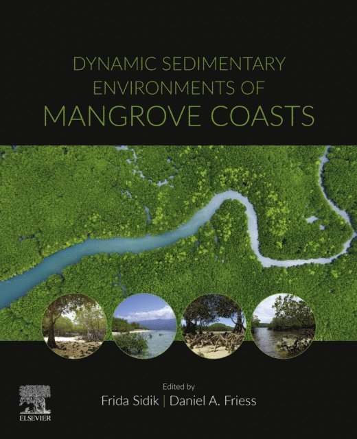 Frida Sidik, Daniel Friess - Dynamic Sedimentary Environments of Mangrove Coasts, E-bok. Tillgänglighet: Lägg i varukorg