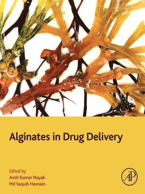 Md Saquib Hasnain, Amit Kumar Nayak - Alginates in Drug Delivery, E-bok