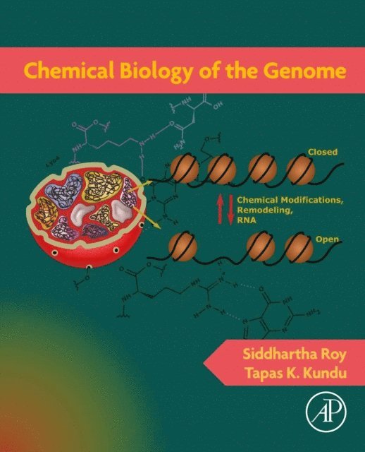 Tapas K. Kundu, Siddhartha Roy - Chemical Biology of the Genome, E-bok