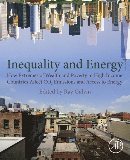 Ray Galvin - Galvin - Economic Inequality and Energy Consumption in Developed Countries, E-bok