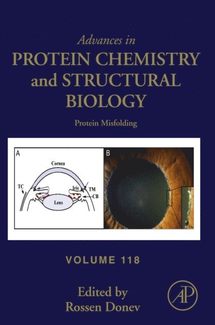 Rossen Donev - Protein Misfolding, E-bok