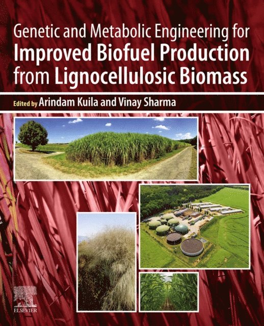 Vinay Sharma, Arindam Kuila - Genetic and Metabolic Engineering for Improved Biofuel Production from Lignocellulosic Biomass, E-bok