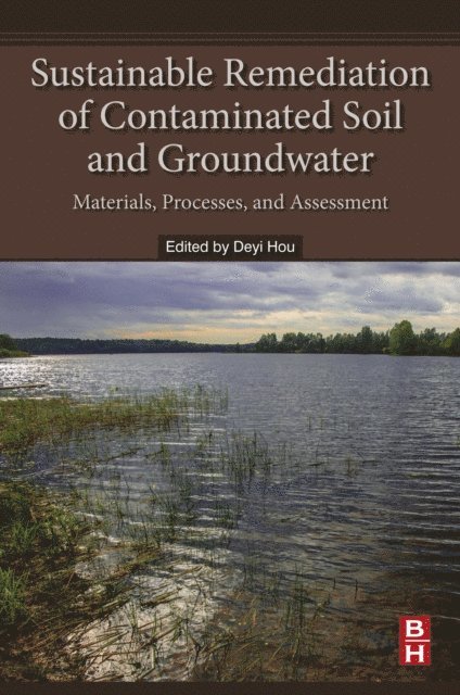 Deyi Hou - Sustainable Remediation of Contaminated Soil and Groundwater, E-bok