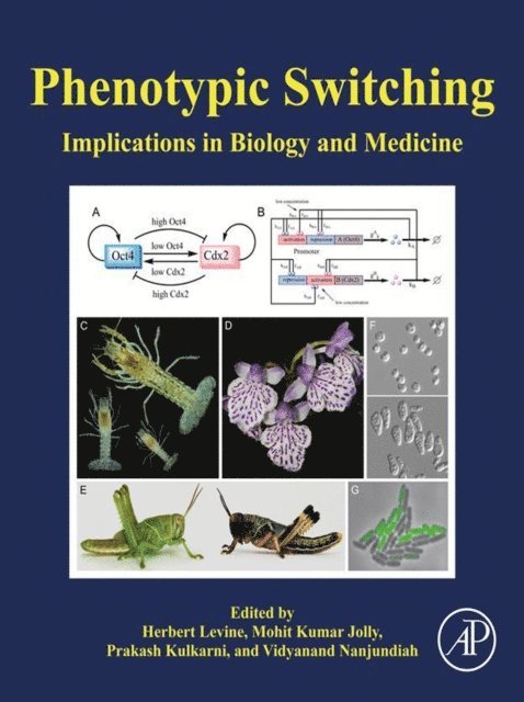 Vidyanand Nanjundiah, Prakash Kulkarni, Mohit Kumar Jolly, Herbert Levine - Phenotypic Switching, E-bok