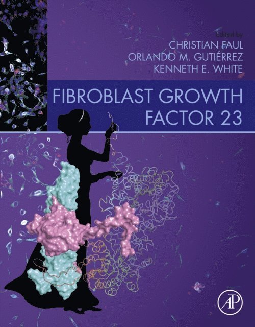Orlando Gutierrez, Kenneth White, Christian Faul - Fibroblast Growth Factor 23, E-bok
