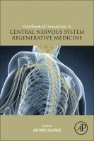 Ant�nio Salgado - Handbook of Innovations in Central Nervous System Regenerative Medicine, Häftad