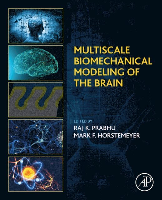 Raj K. Prabhu, Mark F. Horstemeyer - Multiscale Biomechanical Modeling of the Brain, E-bok