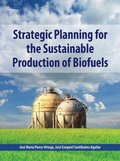 Strategic Planning for the Sustainable Production of Biofuels