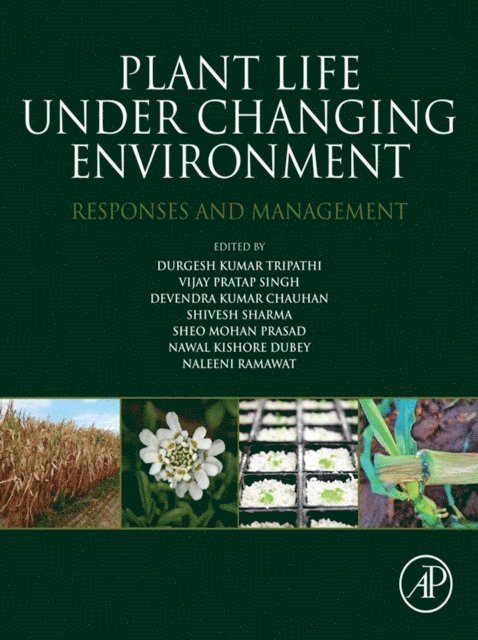 Naleeni Ramawat, Nawal Kishore Dubey, Sheo Mohan Prasad, Shivesh Sharma, Devendra Kumar Chauhan, Vijay Pratap Singh, Durgesh Kumar Tripathi - Plant Life under Changing Environment, E-bok