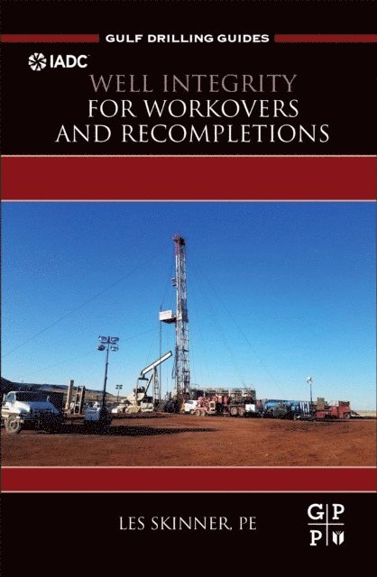 Les Skinner - Well Integrity for Workovers and Recompletions, E-bok