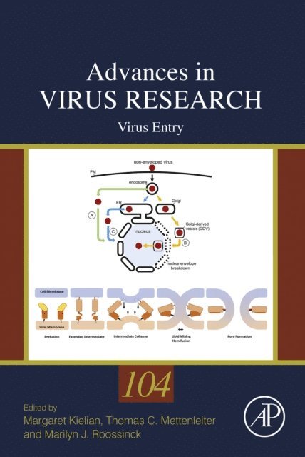 Marilyn J. Roossinck, Margaret Kielian, Thomas Mettenleiter - Virus Entry, E-bok