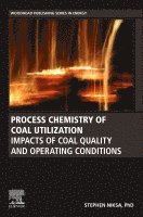 Stephen Niksa - Process Chemistry of Coal Utilization, Häftad. Tillgänglighet: Lägg i varukorg