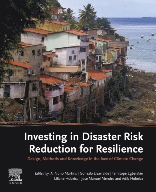Adib Hobeica, Jose Manuel Mendes, Liliane Hobeica, Temitope Egbelakin, Gonzalo Lizarralde, A. Nuno Martins - Investing in Disaster Risk Reduction for Resilience, E-bok