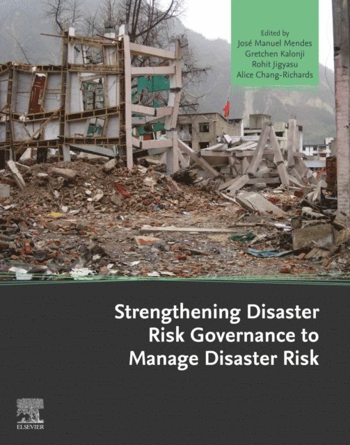 Alice Chang-Richards, Rohit Jigyasu, Gretchen Kalonji, Jose Manuel Mendes - Strengthening Disaster Risk Governance to Manage Disaster Risk, E-bok