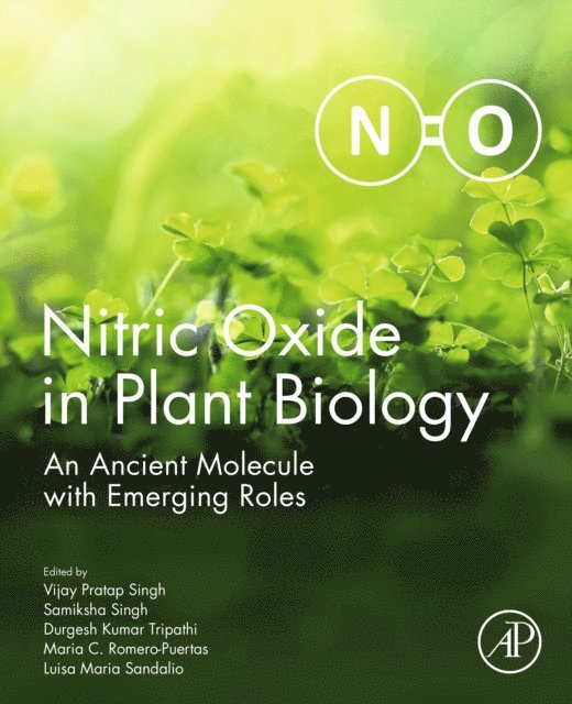 Luisa Maria Sandalio, Maria C. Romero-Puertas, Durgesh Kumar Tripathi, Samiksha Singh, Vijay Pratap Singh - Nitric Oxide in Plant Biology, E-bok