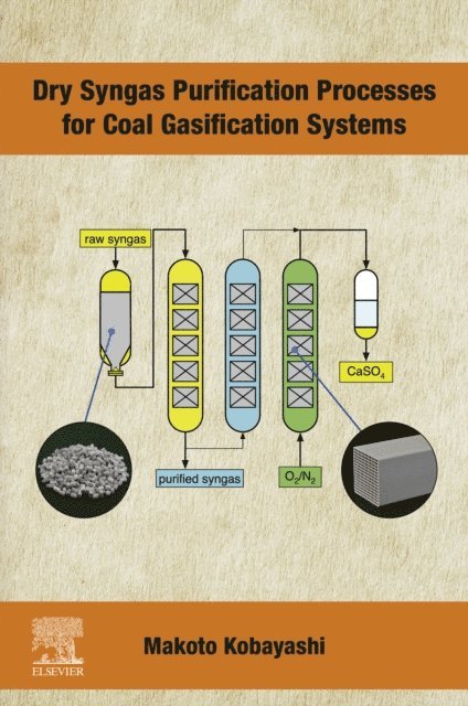 Makoto Kobayashi - Dry Syngas Purification Processes for Coal Gasification Systems, E-bok