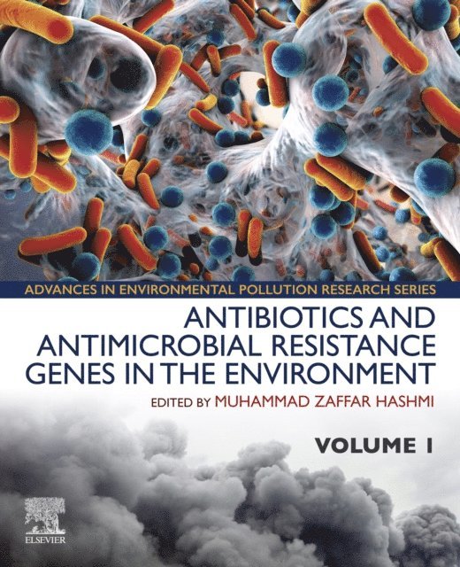 Muhammad Zaffar Hashmi - Antibiotics and Antimicrobial Resistance Genes in the Environment, E-bok