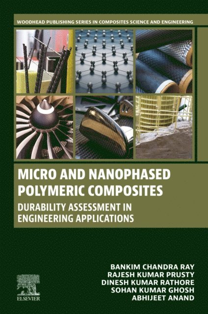 Abhijeet Anand, Sohan Kumar Ghosh, Dinesh Kumar Rathore, Rajesh Kumar Prusty, Bankim Chandra Ray - Micro and Nanophased Polymeric Composites, E-bok
