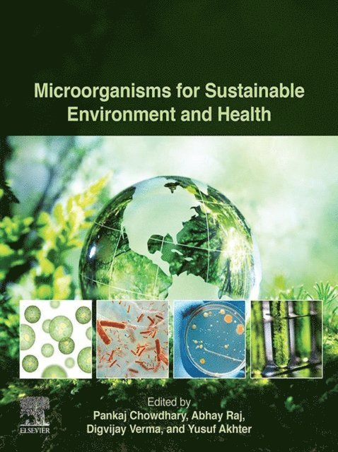 Yusuf Akhter, Digvijay Verma, Abhay Raj, Pankaj Chowdhary - Microorganisms for Sustainable Environment and Health, E-bok