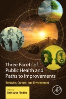 Beth Ann Fiedler - Three Facets of Public Health and Paths to Improvements, Häftad