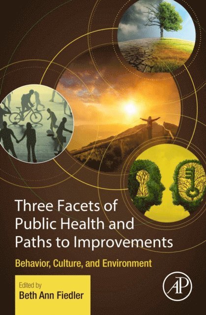Beth Ann Fiedler - Three Facets of Public Health and Paths to Improvements, E-bok