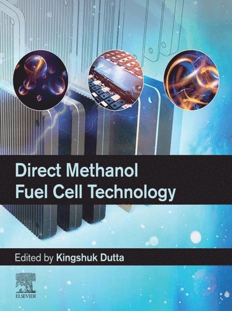 Kingshuk Dutta - Direct Methanol Fuel Cell Technology, E-bok