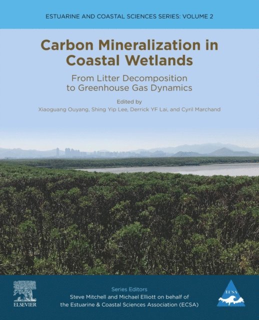 Cyril Marchand, Derrick YF Lai, Shing Yip Lee, Xiaoguang Ouyang - Carbon Mineralization in Coastal Wetlands, E-bok