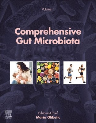 Comprehensive Gut Microbiota, Inbunden
