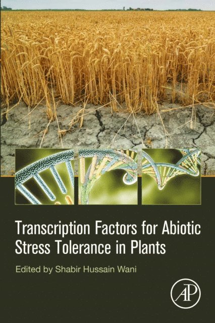 Shabir Hussain Wani - Transcription Factors for Abiotic Stress Tolerance in Plants, E-bok