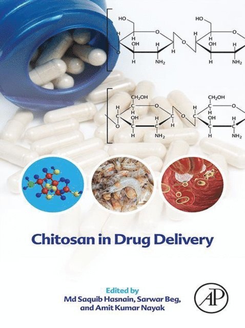 Amit Kumar Nayak, Sarwar Beg, Md Saquib Hasnain - Chitosan in Drug Delivery, E-bok