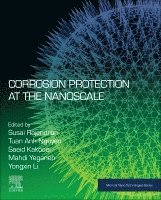 Corrosion Protection at the Nanoscale