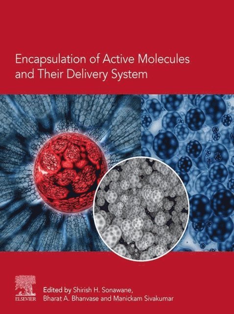 Sivakumar Manickam, Bharat A. Bhanvase, Shirish H. Sonawane - Encapsulation of Active Molecules and Their Delivery System, E-bok