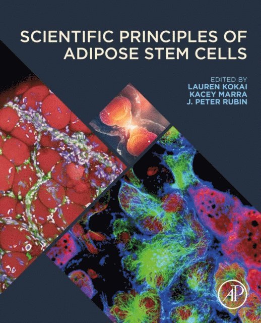 J. Peter Rubin, Kacey Marra, Lauren Kokai - Scientific Principles of Adipose Stem Cells, E-bok