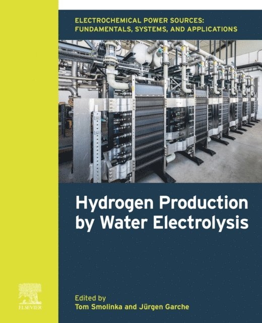 Jurgen Garche, Tom Smolinka - Electrochemical Power Sources: Fundamentals, Systems, and Applications, E-bok